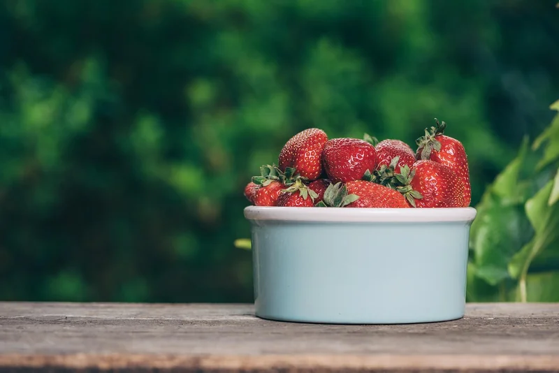 Aliments interdits ou à éviter absolument